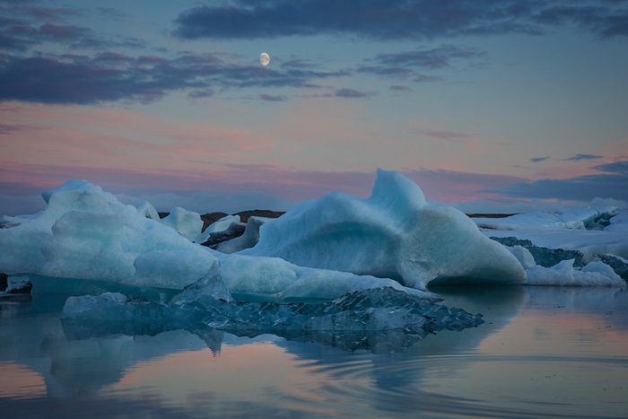 55156497053_60695b04b9_c